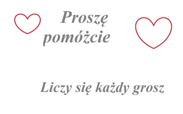 Zbiórka Pomoc dla samotnego seniora - zdjęcie główne