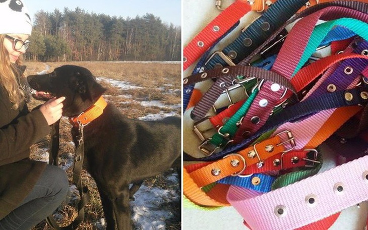 Zbiórka Przepustka do nowego życia! - zdjęcie główne