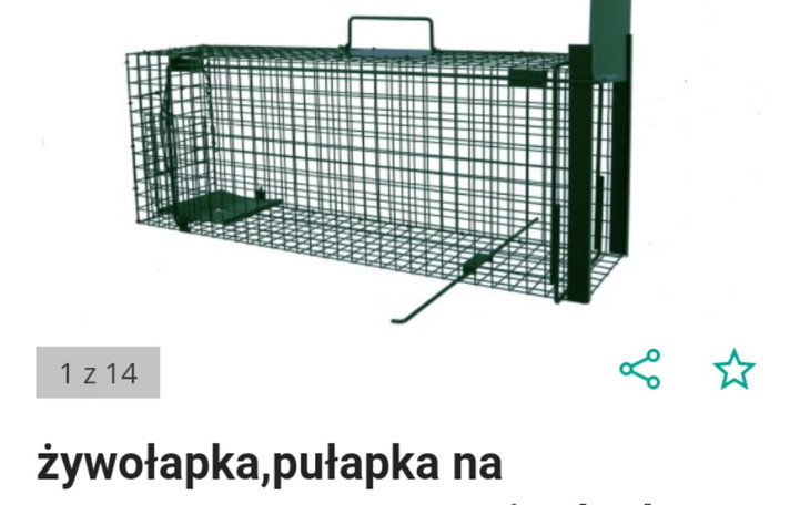 Zbiórka Klatka lapka na koty - zdjęcie główne