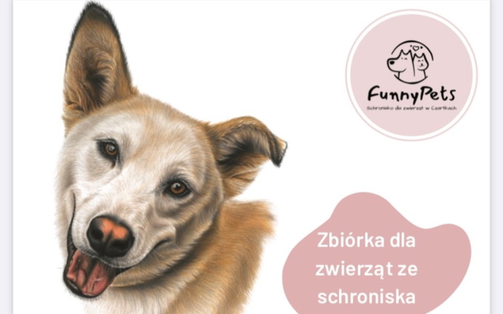 Zbiórka Karma dla zwierzaków w Czartkach - zdjęcie główne