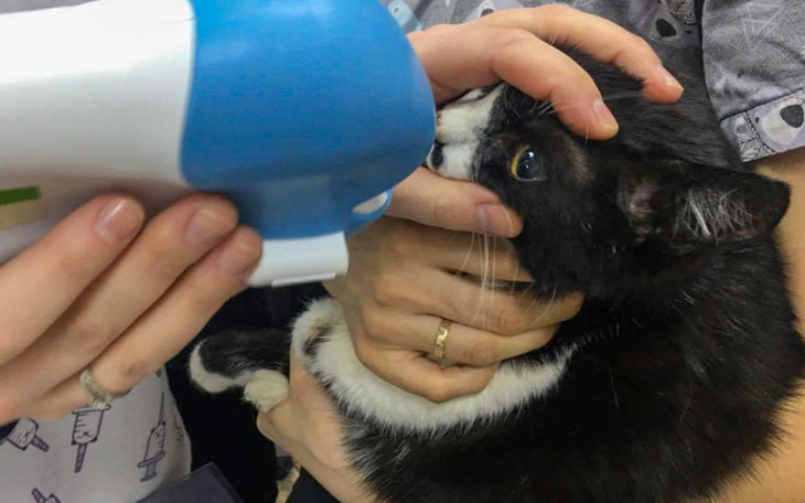 Zbiórka Temidka - zdjęcie główne