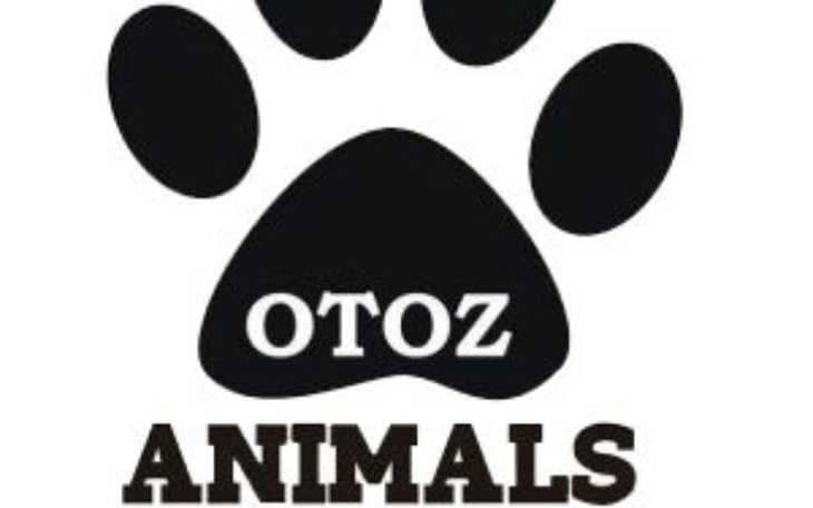 Zbiórka Jedzenie dla zwierzaków /Stg\ - zdjęcie główne