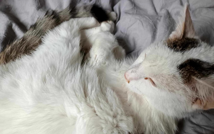 Zbiórka Ratujmy Docenta - zdjęcie główne