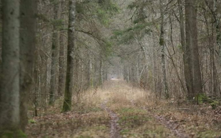 Zbiórka Pomoc uchodźcom z lasu - zdjęcie główne