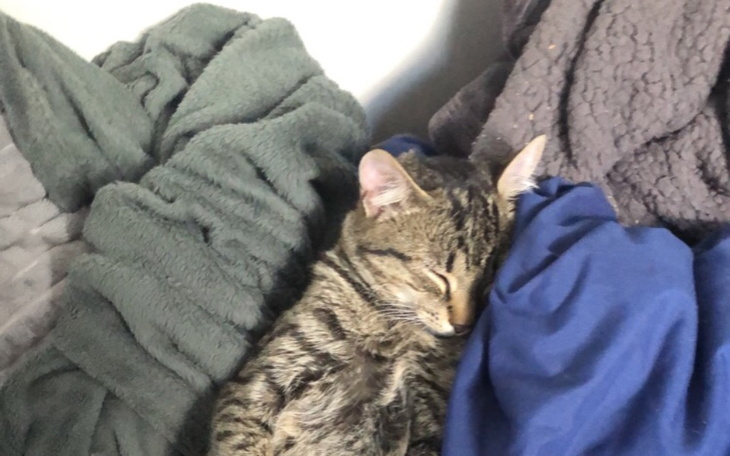 Zbiórka Pomóż mi finansowo - zdjęcie główne