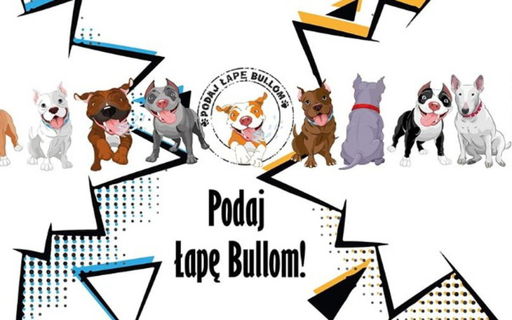Zbiórka Podaj Łapę Bullom - pomóż nam - zdjęcie główne