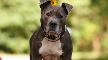 Zbiórka Porzucona jak rzecz - miniaturka zdjęcia