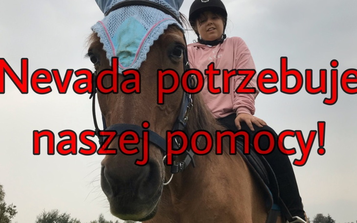 Zbiórka Nevada potrzebuje pomocy - zdjęcie główne
