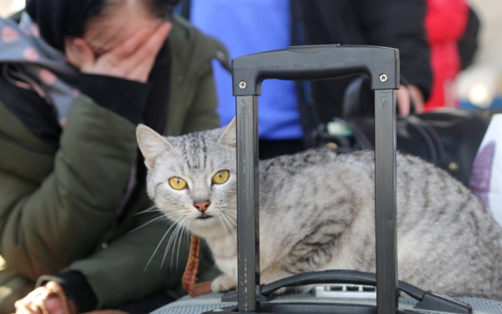 Zbiórka Otwarcie Fundacji Pomoc Rodzinom - zdjęcie główne