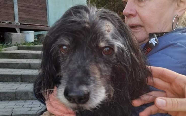 Zbiórka Na transport dla Czarnego - zdjęcie główne