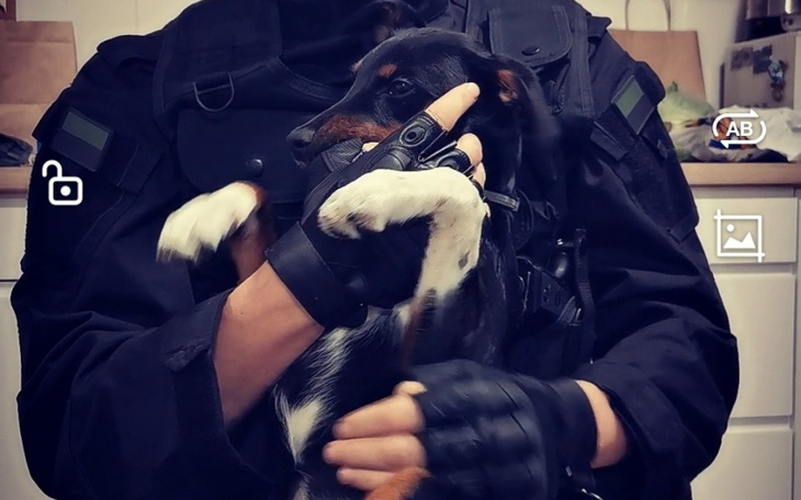 Zbiórka Wyjazd na Ukraine - zdjęcie główne