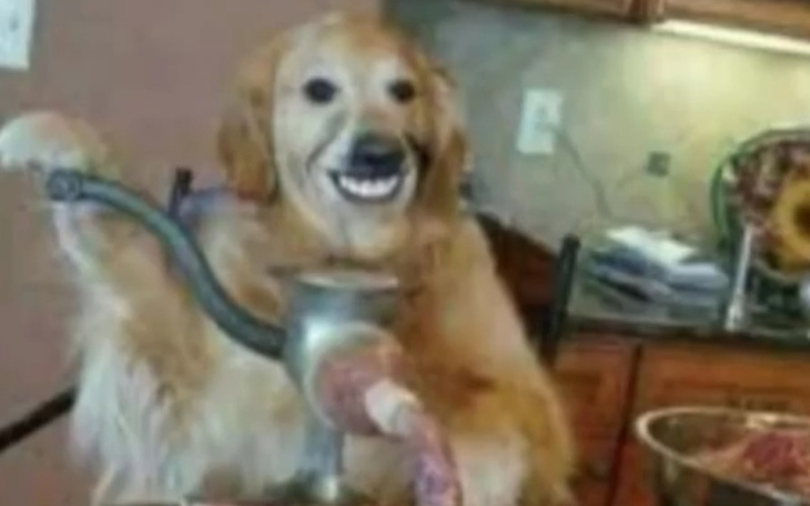 Zbiórka Zbiórka dla IdeQP - zdjęcie główne