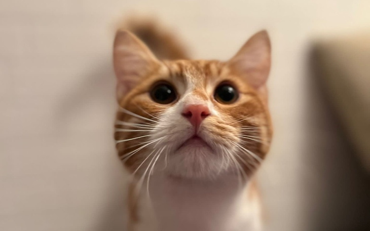 Zbiórka Bogdan prosi o pomoc - zdjęcie główne