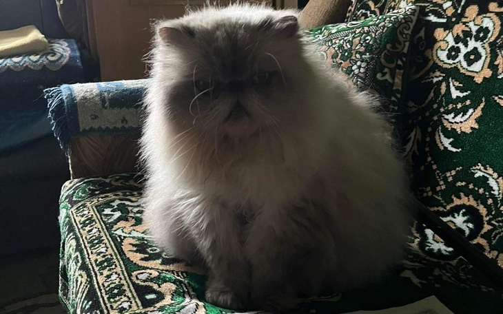 Zbiórka Oskarowa zbióka - zdjęcie główne