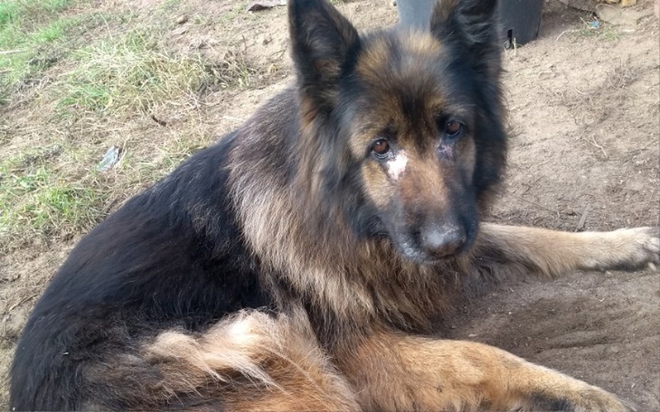 Zbiórka Operacja usunięcia guza - zdjęcie główne