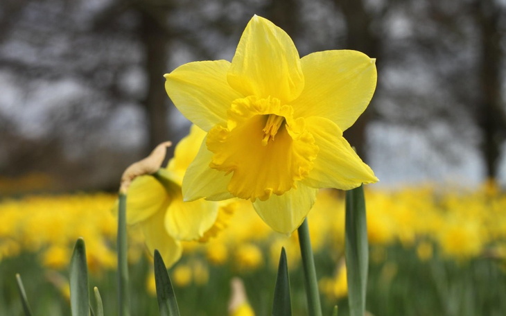 Zbiórka Nowy start nowa perspektywa - zdjęcie główne