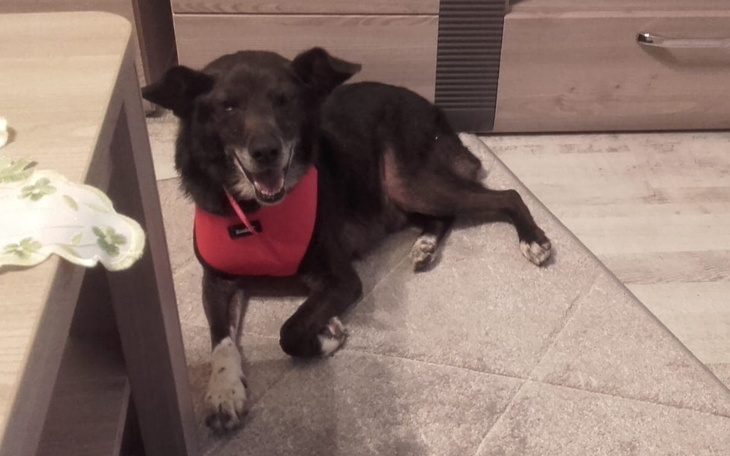 Zbiórka Odi - pilna operacja na już - zdjęcie główne