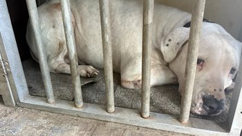 Zbiórka Bronił ludzi, porażono go prądem - miniaturka zdjęcia