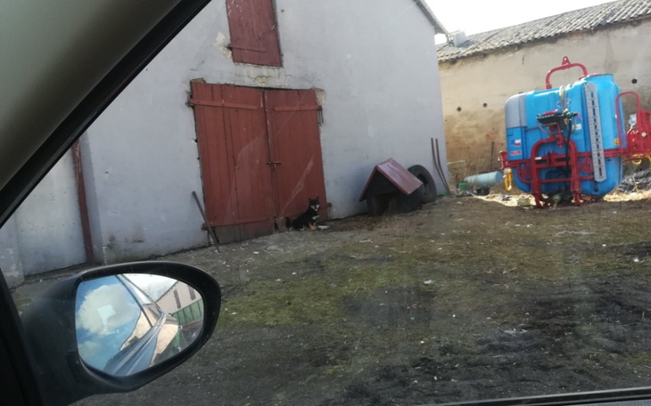 Zbiórka Zapomniany i niechciany - zdjęcie główne