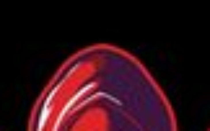 Zbiórka lego - zdjęcie główne