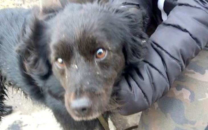 Zbiórka Morus (Piorun) prosi o wsparcie - zdjęcie główne