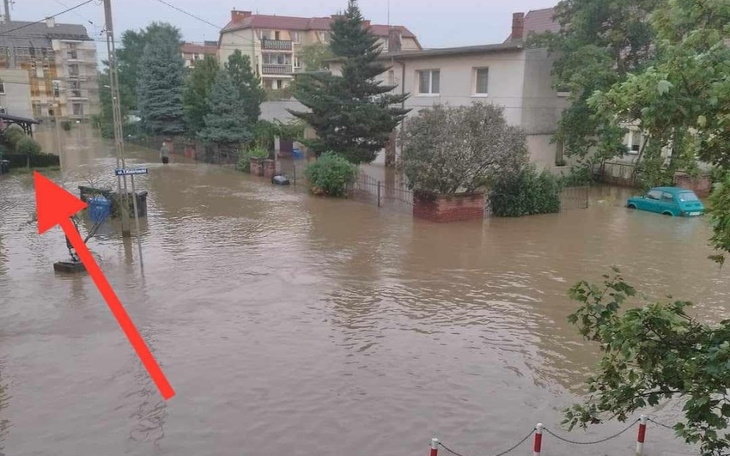 Zbiórka Powódź 2024 Koty Lewin Brzeski - zdjęcie główne