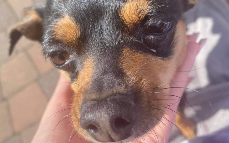 Zbiórka pomoc dla gabrysiii - zdjęcie główne