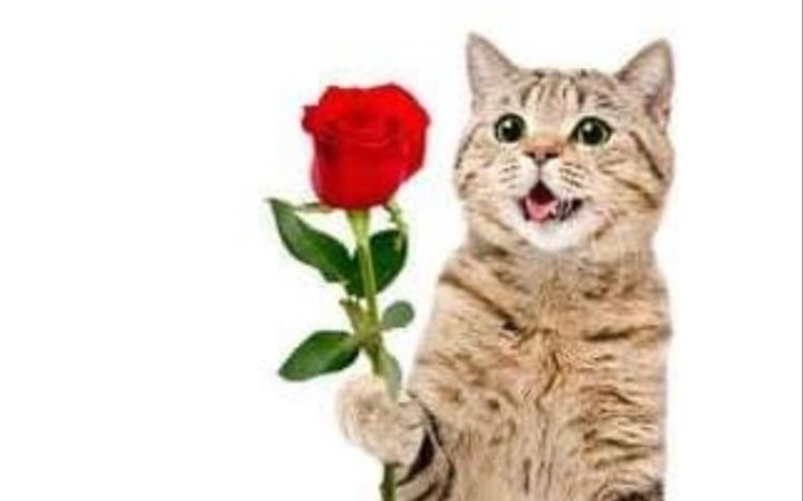 Zbiórka Zbiórka na marzeniaaa - zdjęcie główne