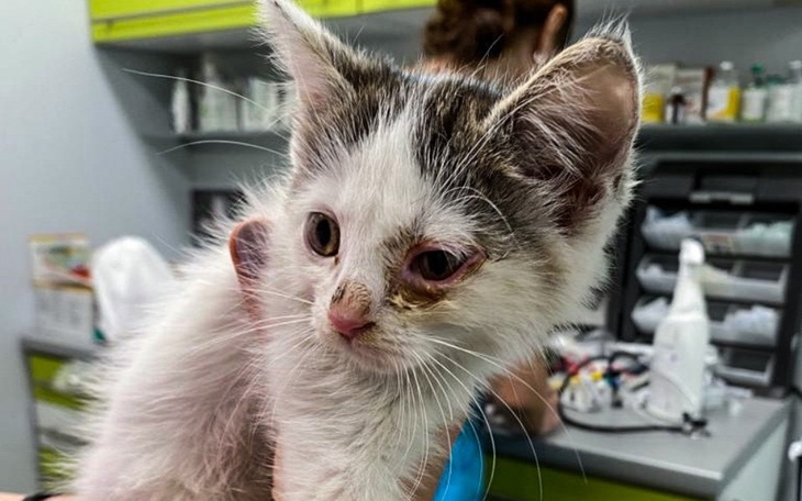 Zbiórka Skazana na cierpienie w melinie - zdjęcie główne