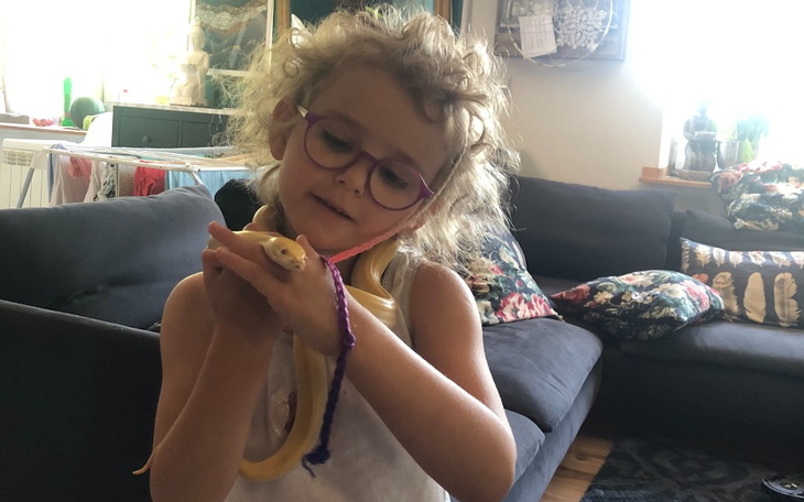 Zbiórka Agama Brodata dla Matyldy - zdjęcie główne