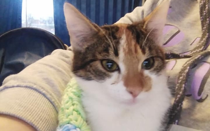 Zbiórka diagnostyka i leczenie YUKI - zdjęcie główne