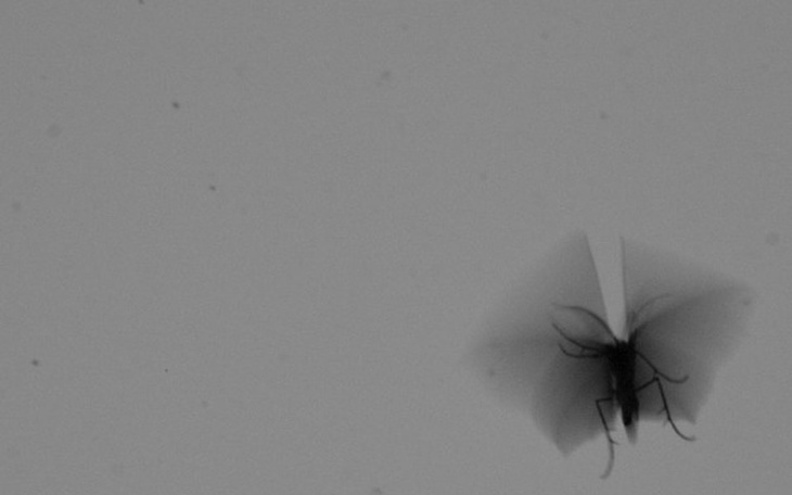 Zbiórka Ile warta jest godność? - zdjęcie główne