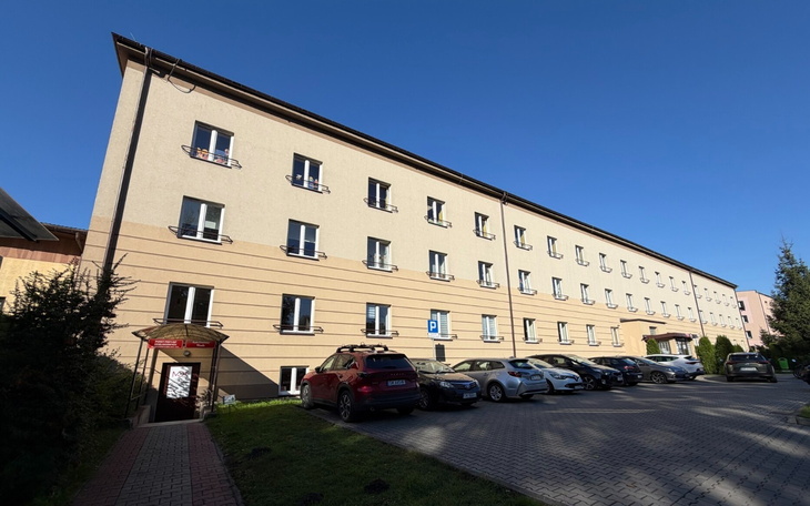 Kotek w kolorach brązowych i białych, zbliżenie na twarz.