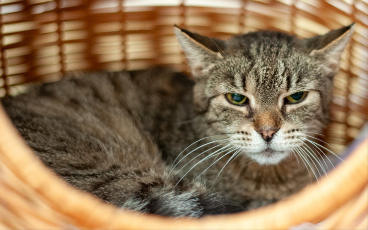 Zbiórka Mruczarnia październik 2023 - zdjęcie główne