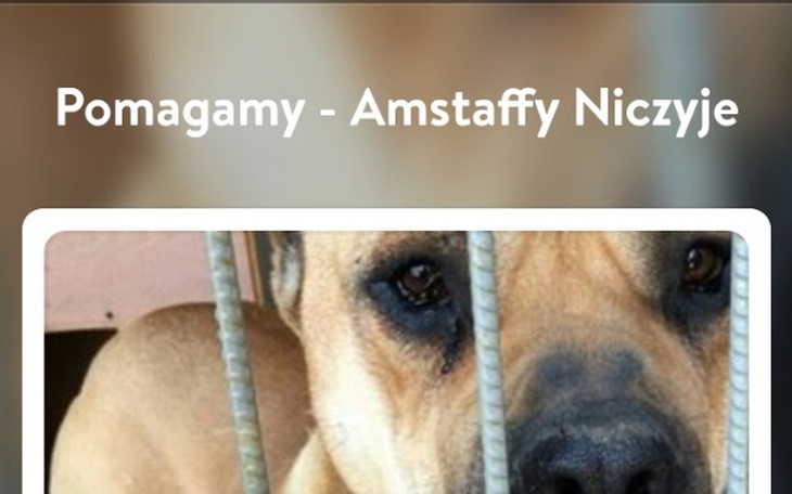 Zbiórka Karma dla potrzebujących zwierzą - zdjęcie główne