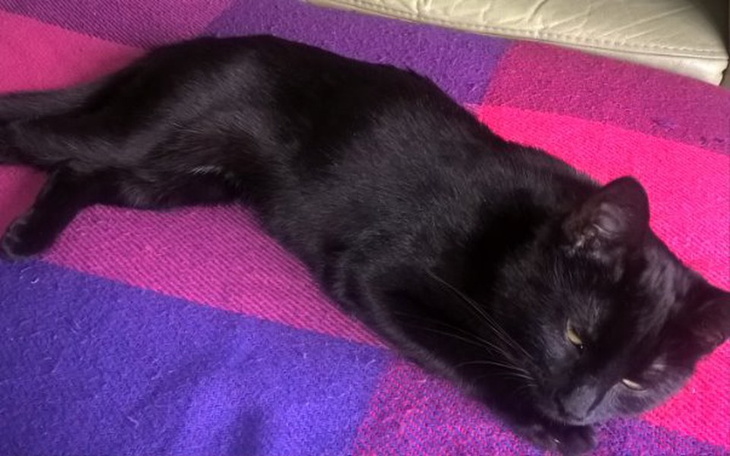 Zbiórka Operacja ratująca życie Luny - zdjęcie główne