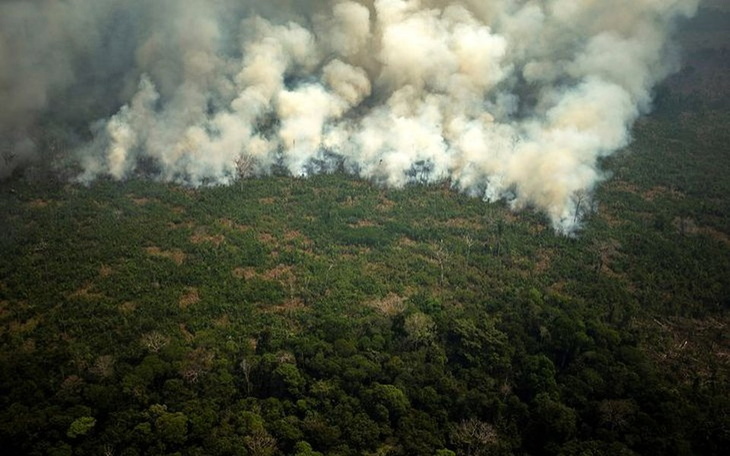 Zbiórka Ratujmy Las Amazonii - zdjęcie główne