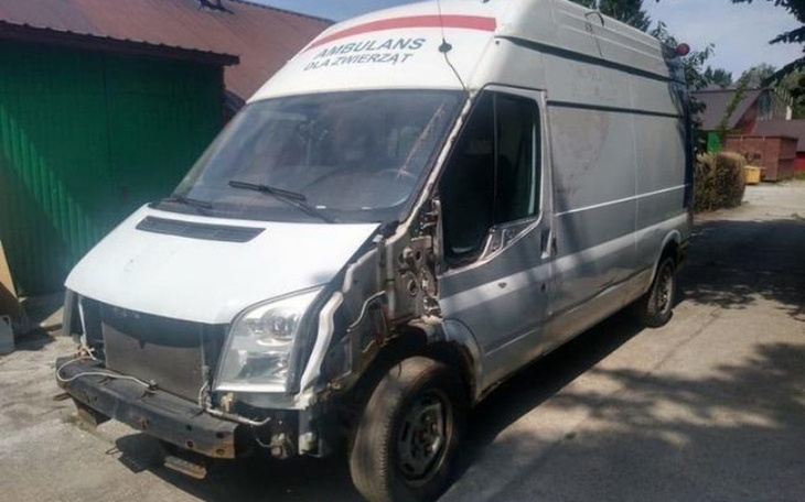 Zbiórka załamani. Karetka dla zwierząt - zdjęcie główne