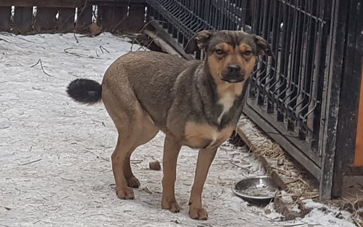 Zbiórka Dzikuska Gucia nie ma na hotel! - zdjęcie główne