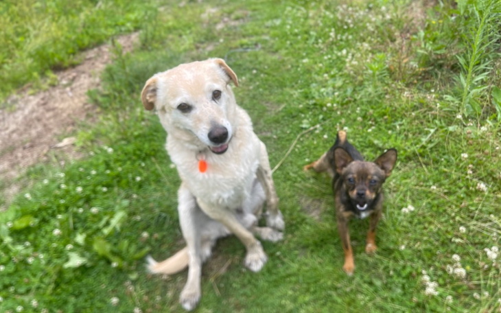 Zbiórka Faktura za Zaciszaki - zdjęcie główne