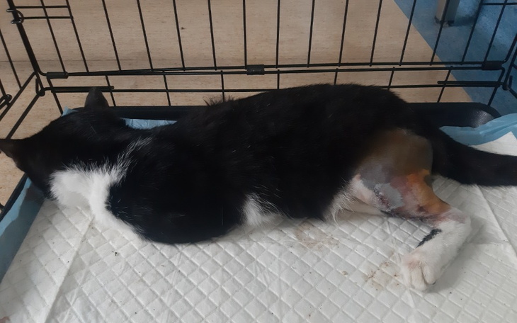 Zbiórka Potrącił i odjechał - zdjęcie główne