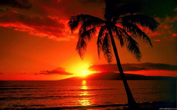 Zbiórka Romantyczne wakacje - zdjęcie główne