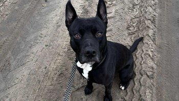 Zbiórka Bonus - gdy zawiedzie człowiek.. - miniaturka zdjęcia