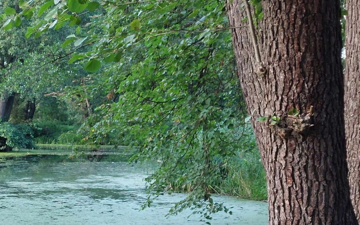 Zbiórka Ludzie w lasach na granicy - zdjęcie główne