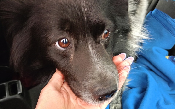 Zbiórka Na lepsze życie Marshalla - zdjęcie główne