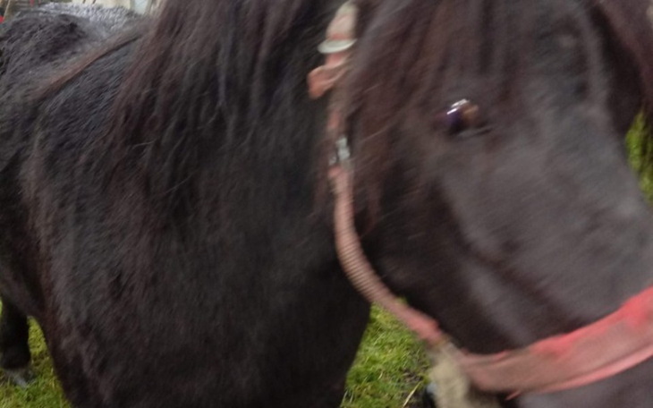 Zbiórka Uciekamy Śmierci - zdjęcie główne