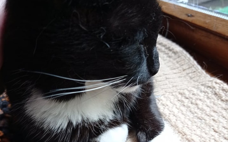 Zbiórka Czy guz odbierze nam Filipkę - zdjęcie główne