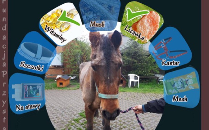 Zbiórka Dziadzio prosi o wsparcie - zdjęcie główne