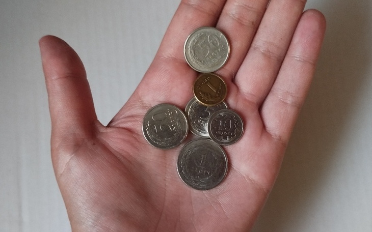 Zbiórka Na jedzenie i podstawowe zakupy - zdjęcie główne