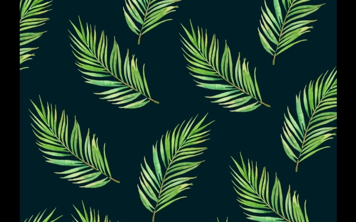 Zbiórka Iphone. - zdjęcie główne